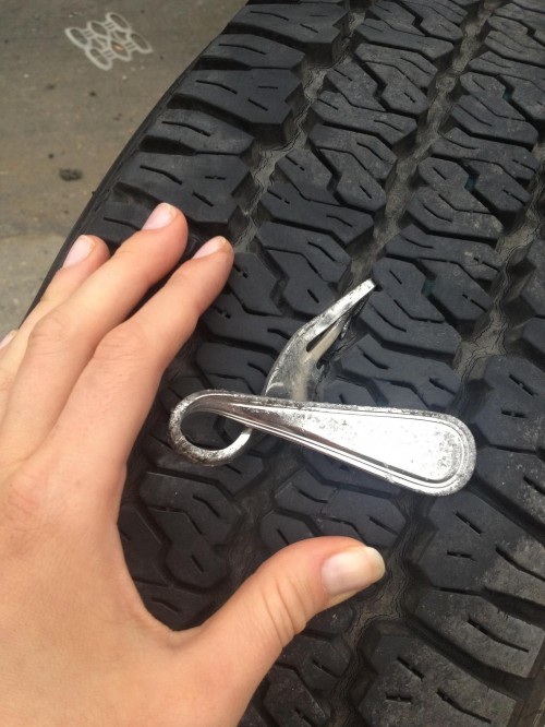 hornoxe.com_picdump273_099