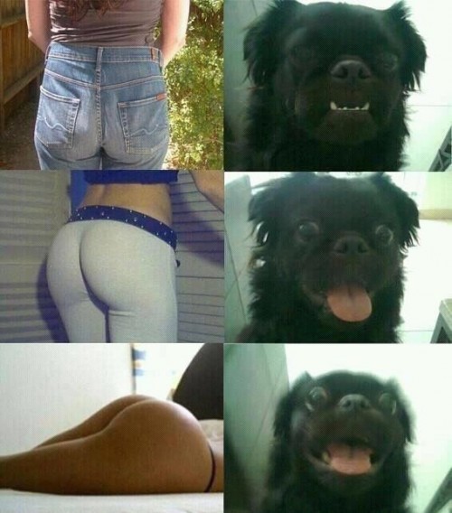 hornoxe.com_picdump273_114