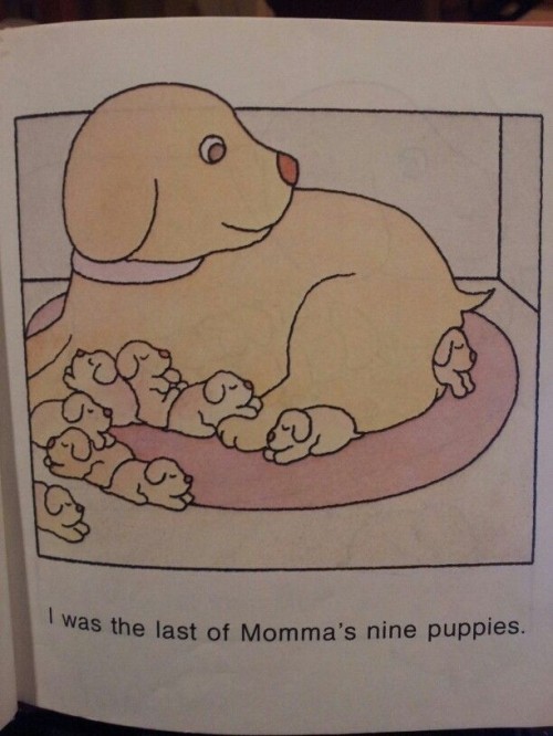 hornoxe.com_picdump273_115