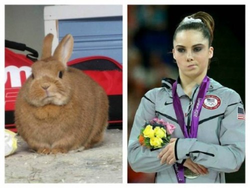 hornoxe.com_picdump273_130