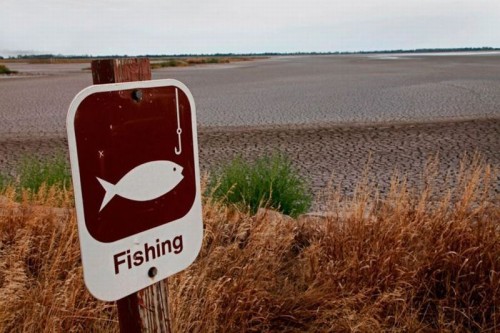 hornoxe.com_picdump273_156