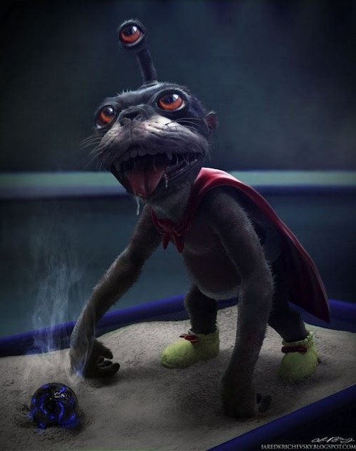 Catsmob.com - The coolest pics on the net!