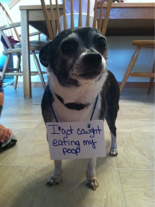 hornoxe.com_picdump273_196