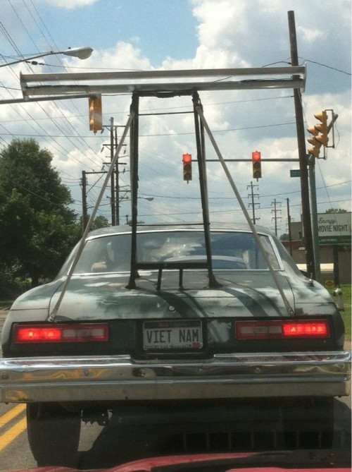 hornoxe.com_picdump274_005