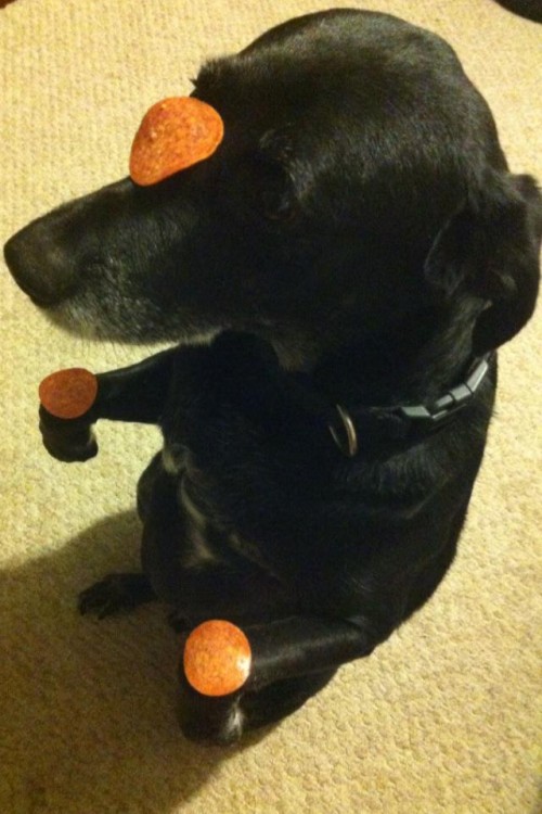 hornoxe.com_picdump274_024