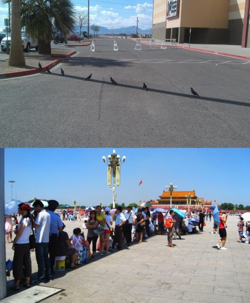 Catsmob.com - The coolest pics on the net!