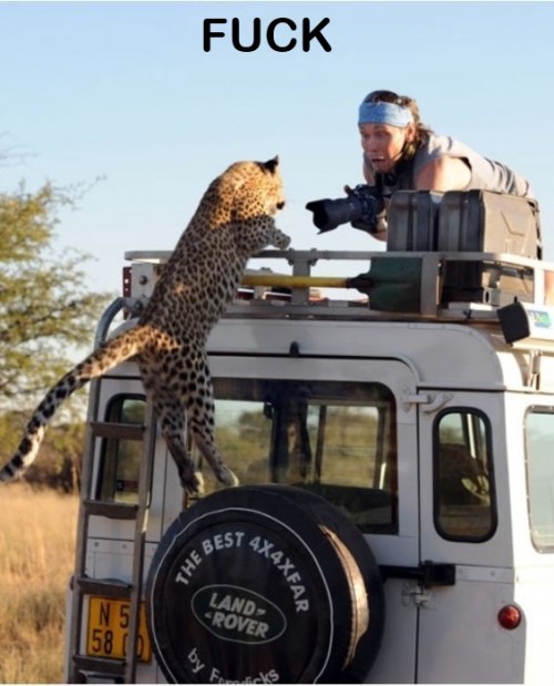 hornoxe.com_picdump274_049