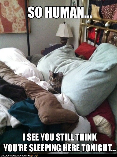 hornoxe.com_picdump274_054