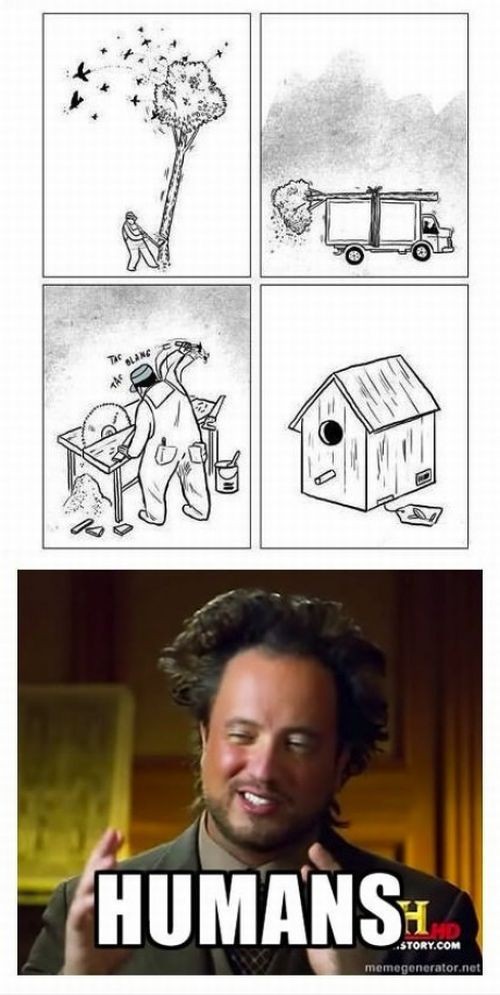 hornoxe.com_picdump274_076