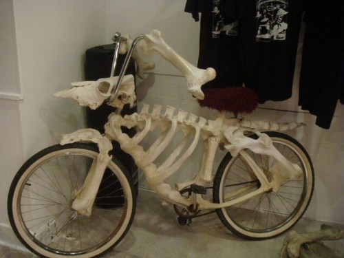 hornoxe.com_picdump275_068