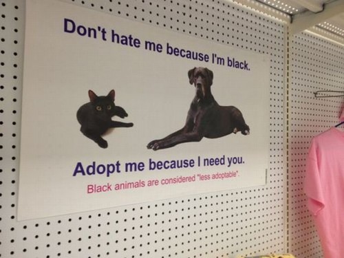 hornoxe.com_picdump275_081