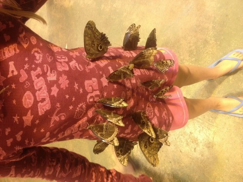 hornoxe.com_picdump275_083