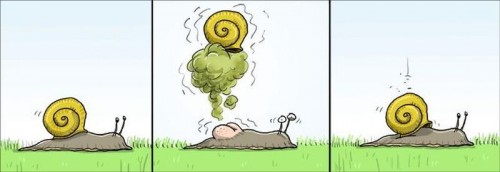 hornoxe.com_picdump275_101