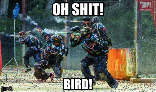 hornoxe.com_picdump275_127