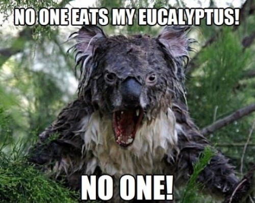 hornoxe.com_picdump275_130