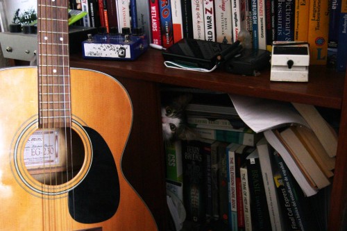 hornoxe.com_picdump275_134