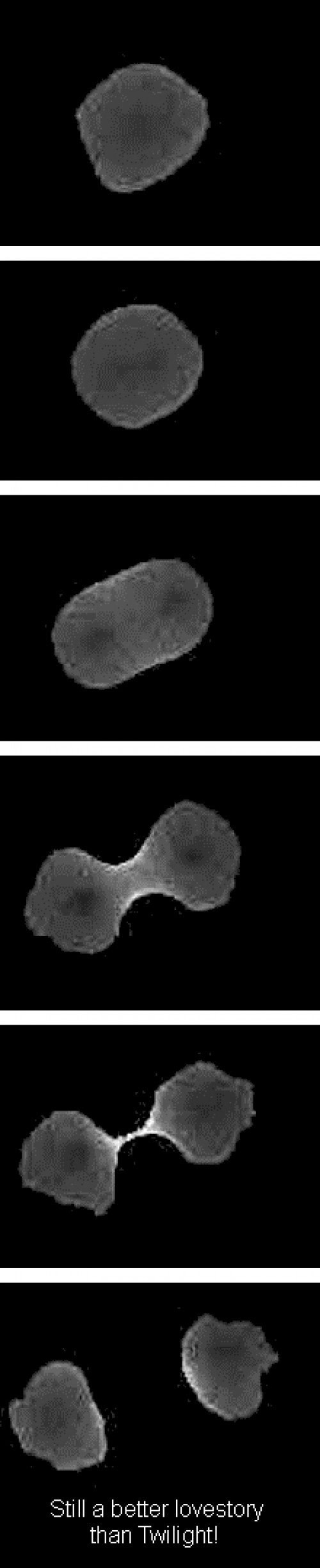 hornoxe.com_picdump275_162