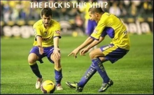 hornoxe.com_picdump275_170