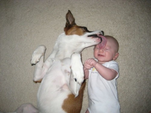 hornoxe.com_picdump275_177