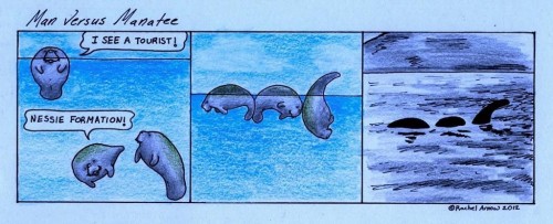 hornoxe.com_picdump275_178