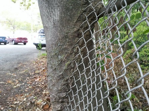 hornoxe.com_picdump275_184