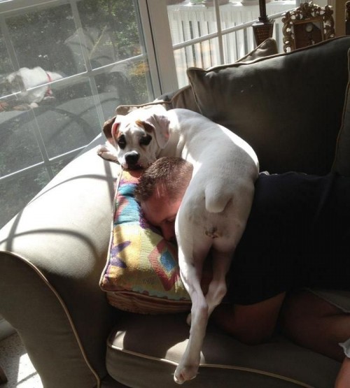 hornoxe.com_picdump275_186