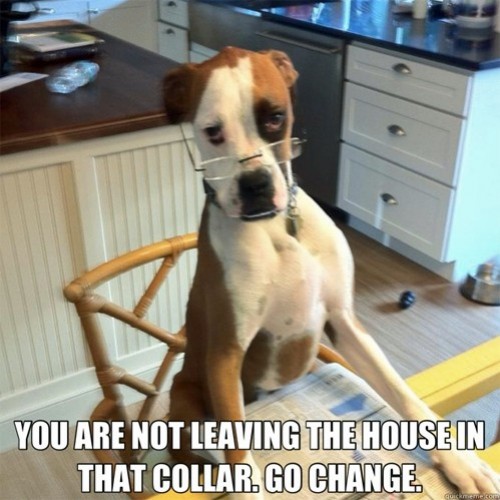 hornoxe.com_picdump275_215