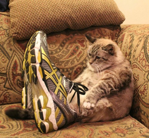 hornoxe.com_picdump275_219