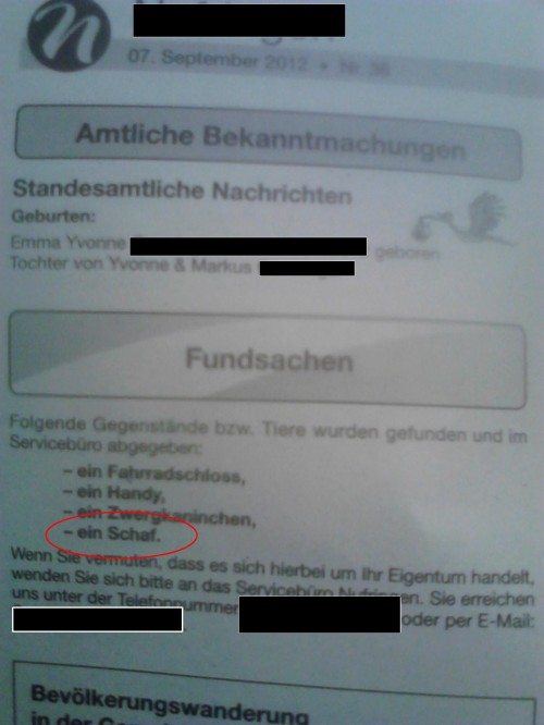 hornoxe.com_picdump276_006