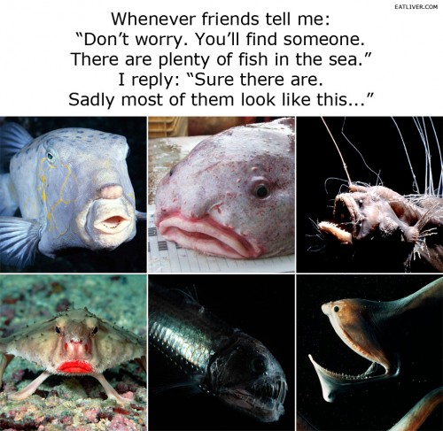 hornoxe.com_picdump276_032