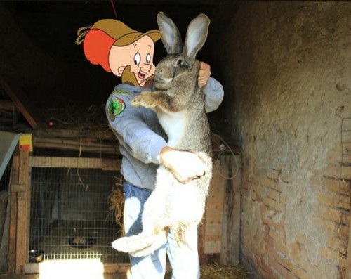 hornoxe.com_picdump276_036