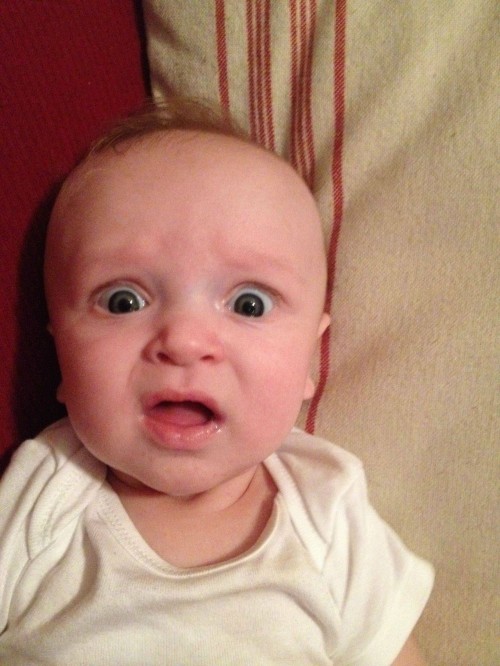 hornoxe.com_picdump276_038