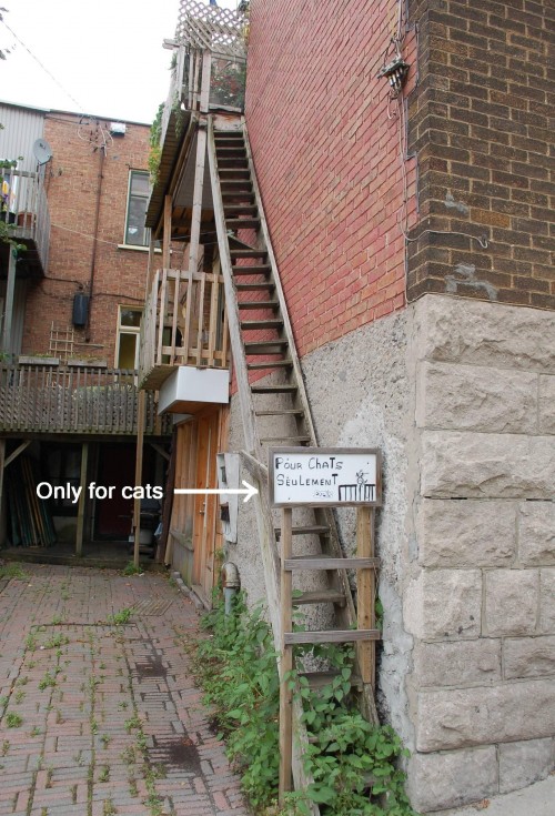 hornoxe.com_picdump276_047