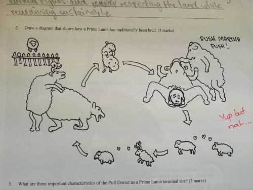 hornoxe.com_picdump276_065