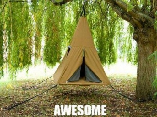 hornoxe.com_picdump276_070