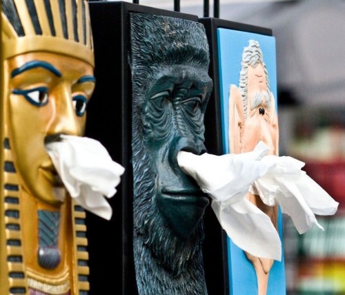 Catsmob.com - The coolest pics on the net!