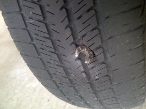 hornoxe.com_picdump276_111