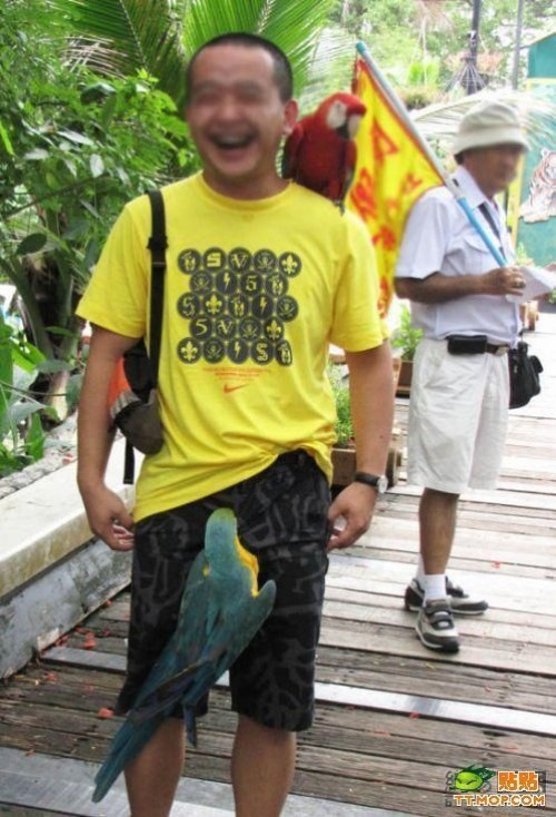 Catsmob.com - The coolest pics on the net!