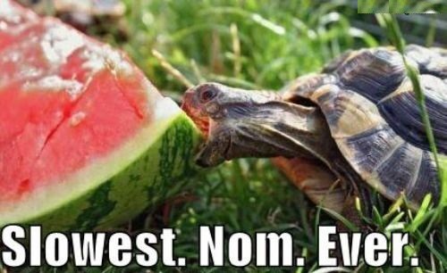 hornoxe.com_picdump277_002