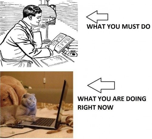 hornoxe.com_picdump277_013