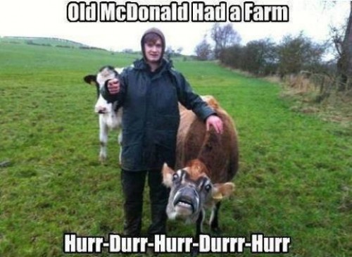 hornoxe.com_picdump277_032