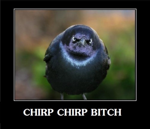 hornoxe.com_picdump277_035