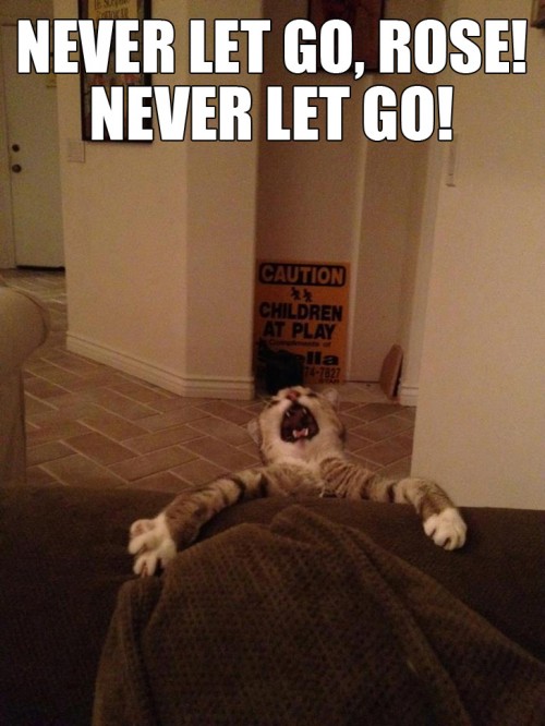 hornoxe.com_picdump277_057