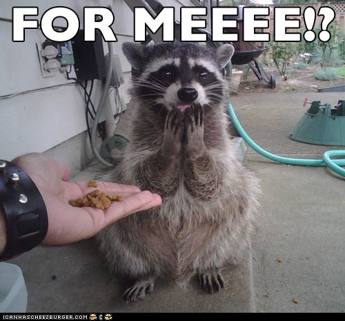 hornoxe.com_picdump277_085