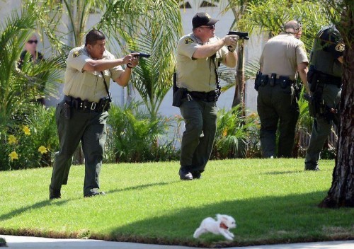 hornoxe.com_picdump277_108