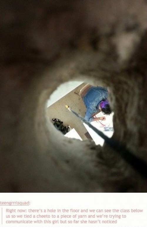 hornoxe.com_picdump277_125