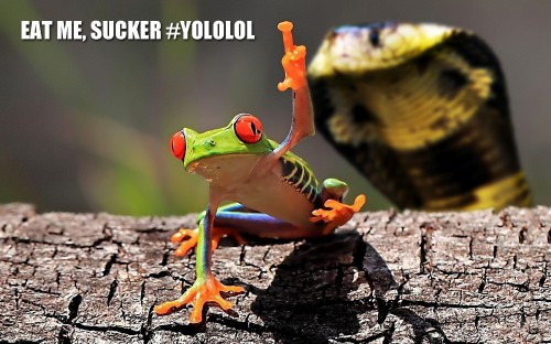 hornoxe.com_picdump277_187