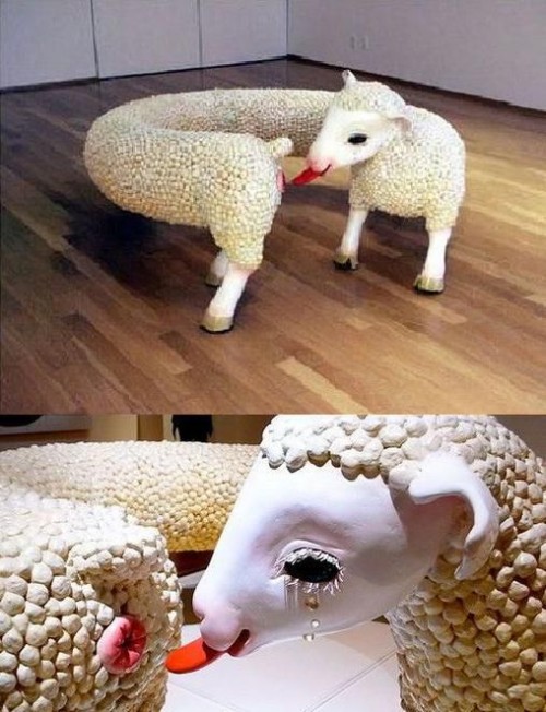 hornoxe.com_picdump277_229