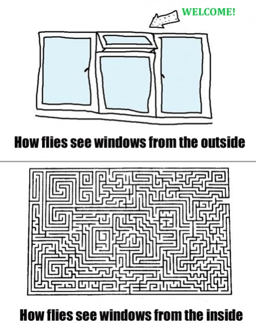 hornoxe.com_picdump277_259