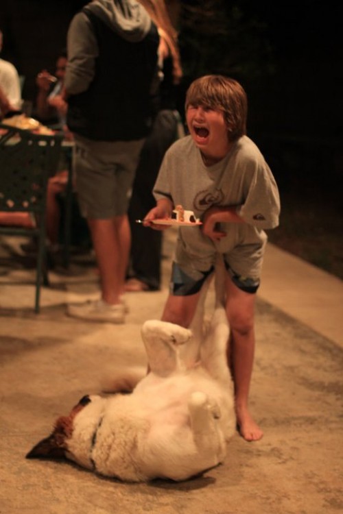 hornoxe.com_picdump278_003